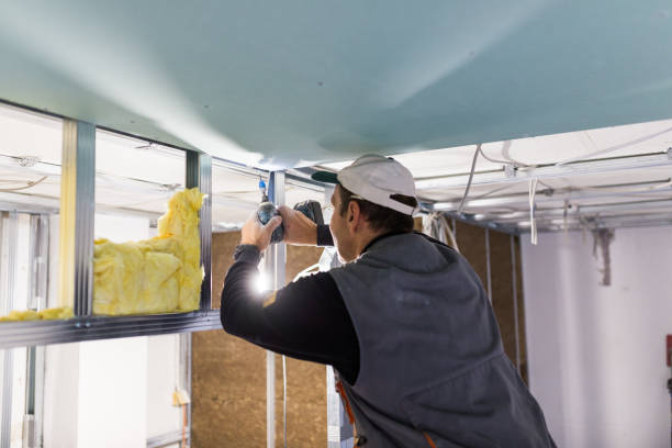 Best Insulation Contractor Near Me  in Wheat Ridge, CO