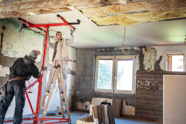 Best Attic Insulation Installation  in Wheat Ridge, CO