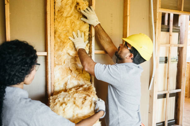 Best Spray Foam Insulation  in Wheat Ridge, CO