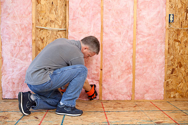 Best Attic Insulation Installation  in Wheat Ridge, CO