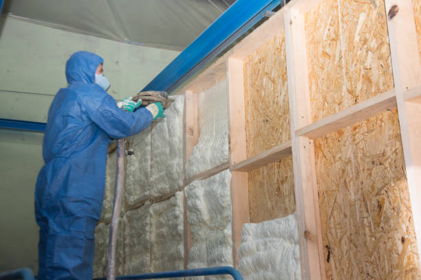 Best Blown-in Insulation  in Wheat Ridge, CO